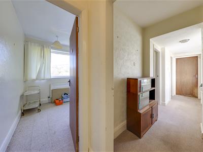 Picture 17
